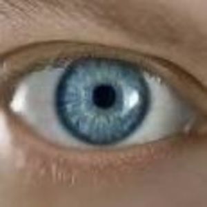 Meet your Posher, Paul